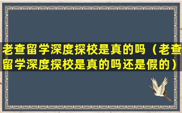 老查留学深度探校是真的吗（老查留学深度探校是真的吗还是假的）