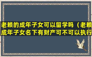老赖的成年子女可以留学吗（老赖成年子女名下有财产可不可以执行）
