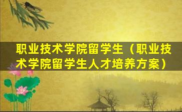 职业技术学院留学生（职业技术学院留学生人才培养方案）