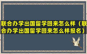 联合办学出国留学回来怎么样（联合办学出国留学回来怎么样报名）