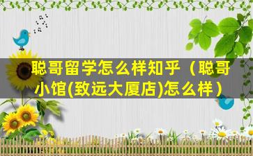 聪哥留学怎么样知乎（聪哥小馆(致远大厦店)怎么样）