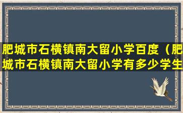 肥城市石横镇南大留小学百度（肥城市石横镇南大留小学有多少学生）