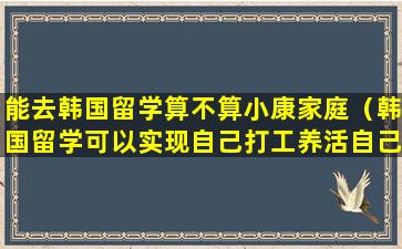 能去韩国留学算不算小康家庭（韩国留学可以实现自己打工养活自己吗）