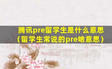 腾讯pre留学生是什么意思（留学生常说的pre啥意思）