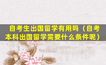 自考生出国留学有用吗（自考本科出国留学需要什么条件呢）