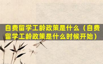 自费留学工龄政策是什么（自费留学工龄政策是什么时候开始）
