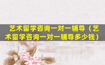 艺术留学咨询一对一辅导（艺术留学咨询一对一辅导多少钱）