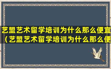 艺盟艺术留学培训为什么那么便宜（艺盟艺术留学培训为什么那么便宜啊）