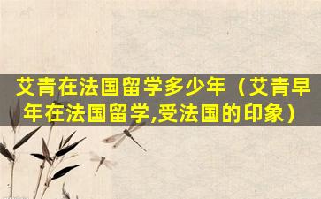 艾青在法国留学多少年（艾青早年在法国留学,受法国的印象）