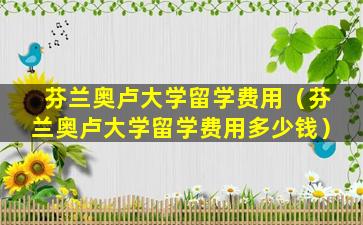 芬兰奥卢大学留学费用（芬兰奥卢大学留学费用多少钱）