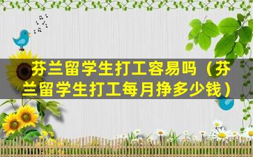 芬兰留学生打工容易吗（芬兰留学生打工每月挣多少钱）