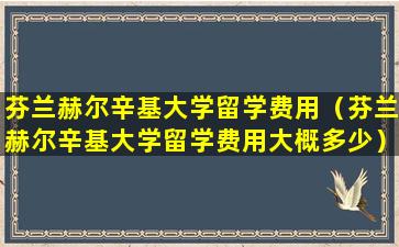 芬兰赫尔辛基大学留学费用（芬兰赫尔辛基大学留学费用大概多少）