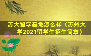 苏大留学基地怎么样（苏州大学2021留学生招生简章）