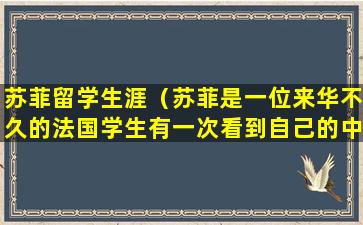 苏菲留学生涯（苏菲是一位来华不久的法国学生有一次看到自己的中国）