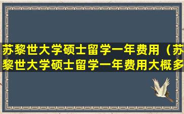 苏黎世大学硕士留学一年费用（苏黎世大学硕士留学一年费用大概多少）