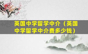 英国中学留学中介（英国中学留学中介费多少钱）