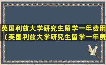 英国利兹大学研究生留学一年费用（英国利兹大学研究生留学一年费用大概多少）