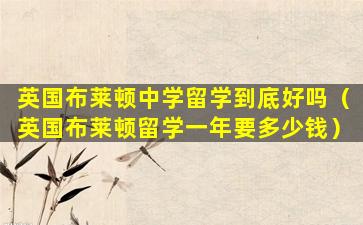 英国布莱顿中学留学到底好吗（英国布莱顿留学一年要多少钱）