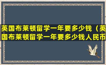 英国布莱顿留学一年要多少钱（英国布莱顿留学一年要多少钱人民币）