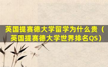 英国提赛德大学留学为什么贵（英国提赛德大学世界排名QS）