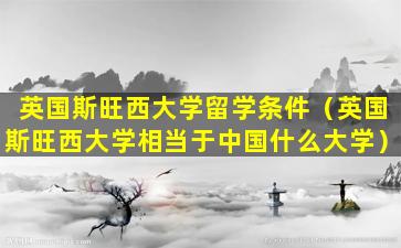 英国斯旺西大学留学条件（英国斯旺西大学相当于中国什么大学）