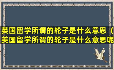 英国留学所谓的轮子是什么意思（英国留学所谓的轮子是什么意思呢）