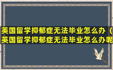 英国留学抑郁症无法毕业怎么办（英国留学抑郁症无法毕业怎么办呢）