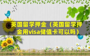 英国留学押金（英国留学押金用visa储值卡可以吗）