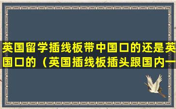 英国留学插线板带中国口的还是英国口的（英国插线板插头跟国内一样吗）