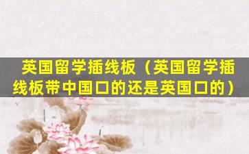 英国留学插线板（英国留学插线板带中国口的还是英国口的）