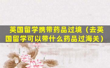 英国留学携带药品过境（去英国留学可以带什么药品过海关）