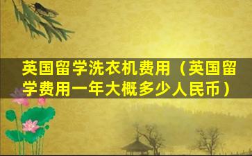英国留学洗衣机费用（英国留学费用一年大概多少人民币）
