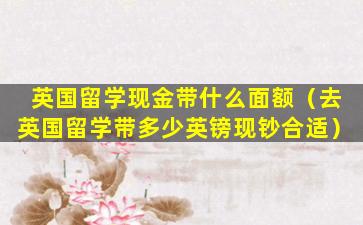 英国留学现金带什么面额（去英国留学带多少英镑现钞合适）