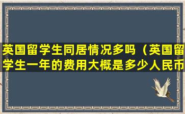 英国留学生同居情况多吗（英国留学生一年的费用大概是多少人民币）