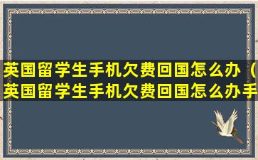 英国留学生手机欠费回国怎么办（英国留学生手机欠费回国怎么办手续）