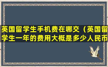 英国留学生手机费在哪交（英国留学生一年的费用大概是多少人民币）