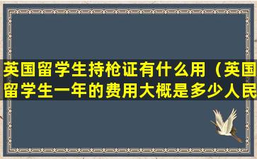 英国留学生持枪证有什么用（英国留学生一年的费用大概是多少人民币）