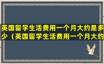 英国留学生活费用一个月大约是多少（英国留学生活费用一个月大约是多少钱）