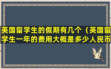 英国留学生的假期有几个（英国留学生一年的费用大概是多少人民币）