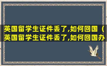 英国留学生证件丢了,如何回国（英国留学生证件丢了,如何回国办理）