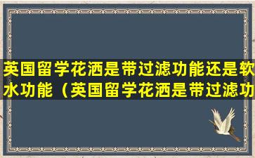 英国留学花洒是带过滤功能还是软水功能（英国留学花洒是带过滤功能还是软水功能）