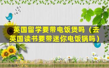 英国留学要带电饭煲吗（去英国读书要带迷你电饭锅吗）