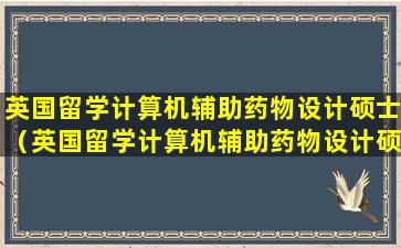 英国留学计算机辅助药物设计硕士（英国留学计算机辅助药物设计硕士读几年）