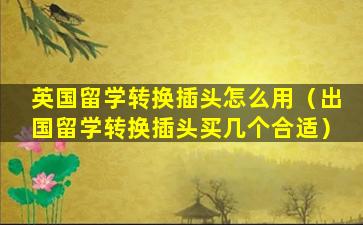 英国留学转换插头怎么用（出国留学转换插头买几个合适）