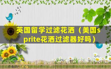 英国留学过滤花洒（美国sprite花洒过滤器好吗）