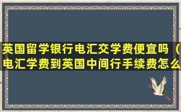 英国留学银行电汇交学费便宜吗（电汇学费到英国中间行手续费怎么收）