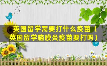 英国留学需要打什么疫苗（英国留学脑膜炎疫苗要打吗）