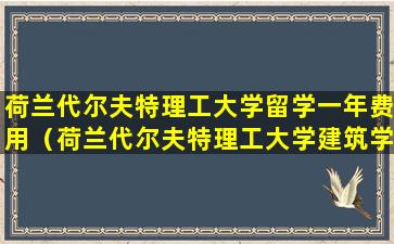 荷兰代尔夫特理工大学留学一年费用（荷兰代尔夫特理工大学建筑学申请难度）