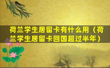 荷兰学生居留卡有什么用（荷兰学生居留卡回国超过半年）