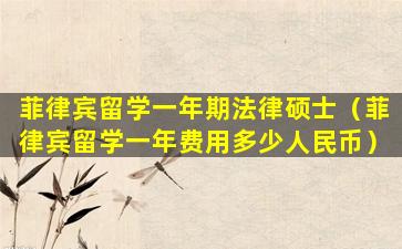 菲律宾留学一年期法律硕士（菲律宾留学一年费用多少人民币）